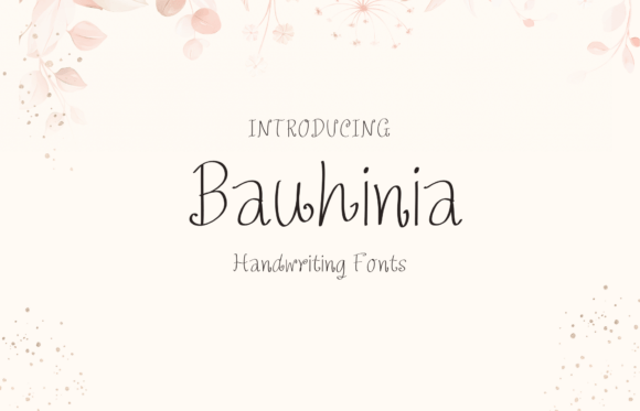 Bauhinia: The Font That Makes Your Campaigns Pop