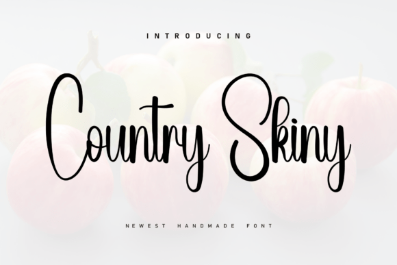Country Skiny: A Font That Adds Personality to Your Web Design